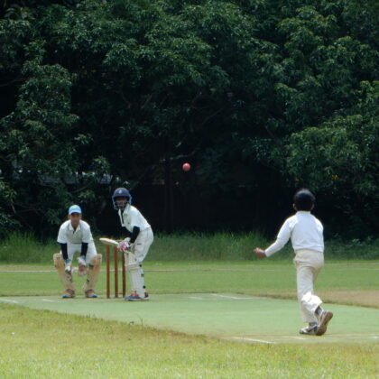 cricket-scaled-420x420